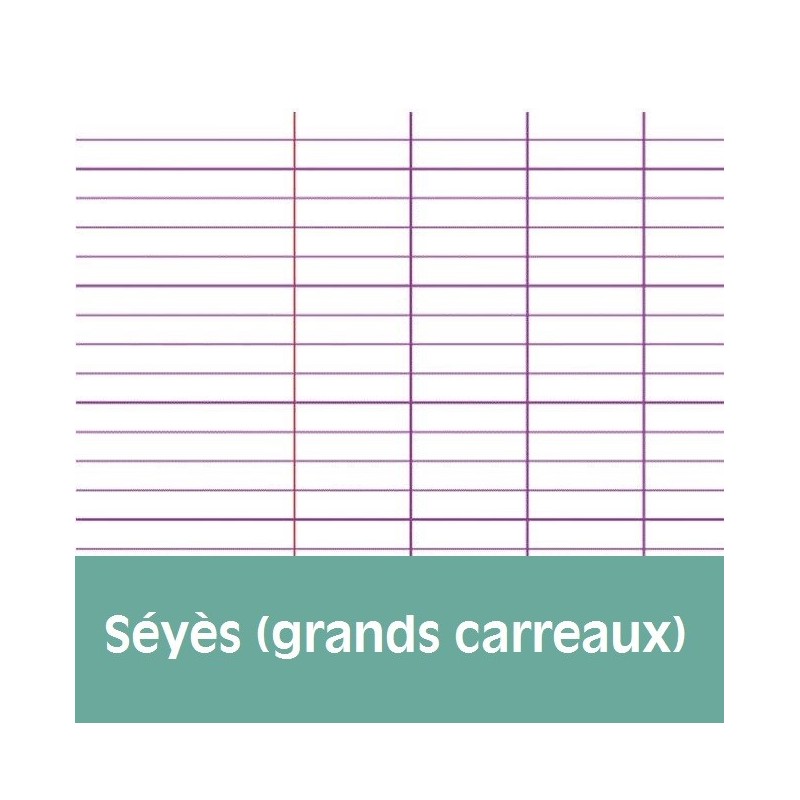 Cahier Dessai Petit Format 17x22 48p Grands Carreaux Séyès Calligraphe