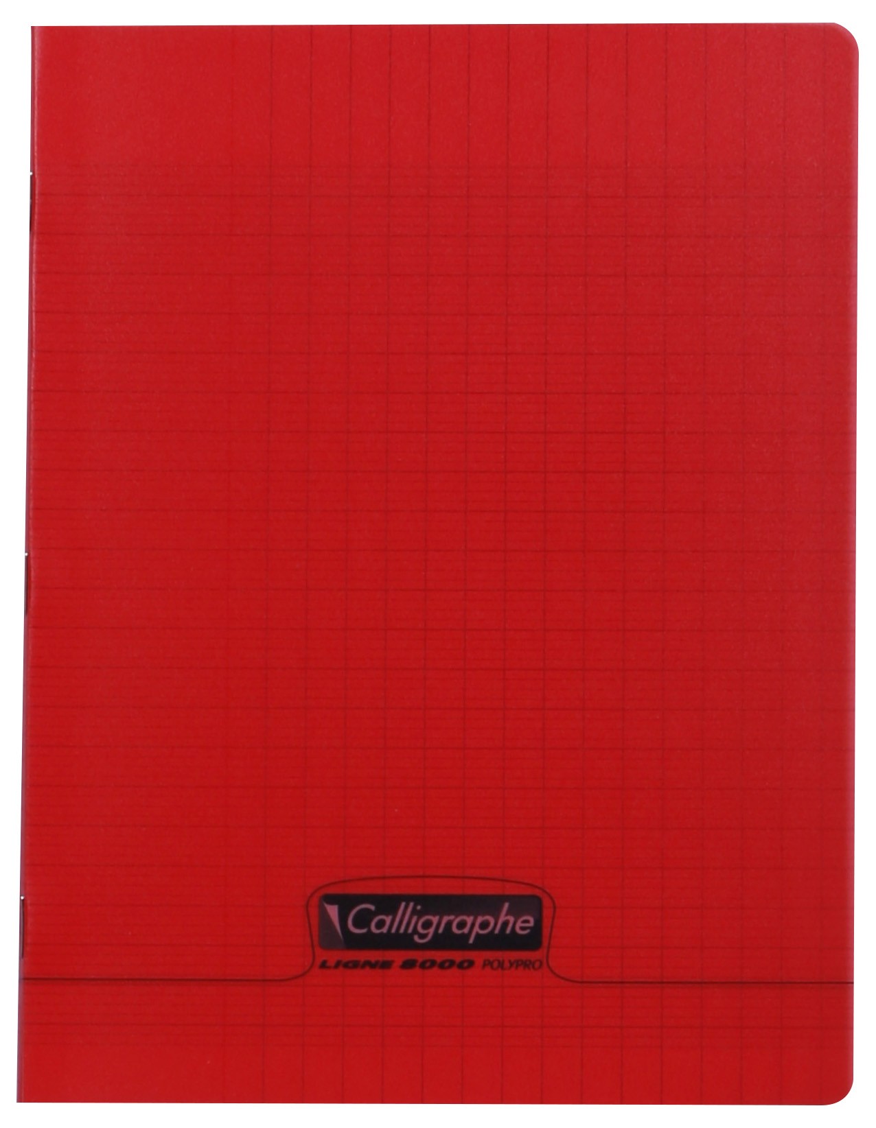 Cahier polypro Calligraphe petit format 17x22 96p grands carreaux
