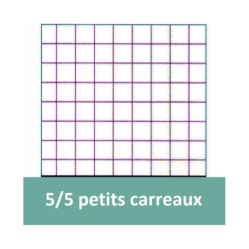 Cahier - 24x32(cm) - Grands carreaux - 48 pages - couverture en polypro -  sans spirale - Clairefontaine - Beaux-arts
