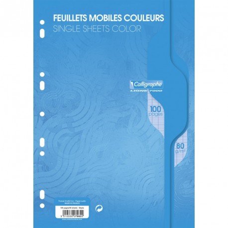 Feuilles simples A4 21 x 29.7 cm - 400 pages grands carreaux - 90