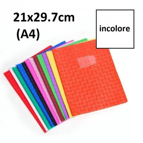 Protège-cahier format A4 21x29,7 avec porte étiquette - incolore