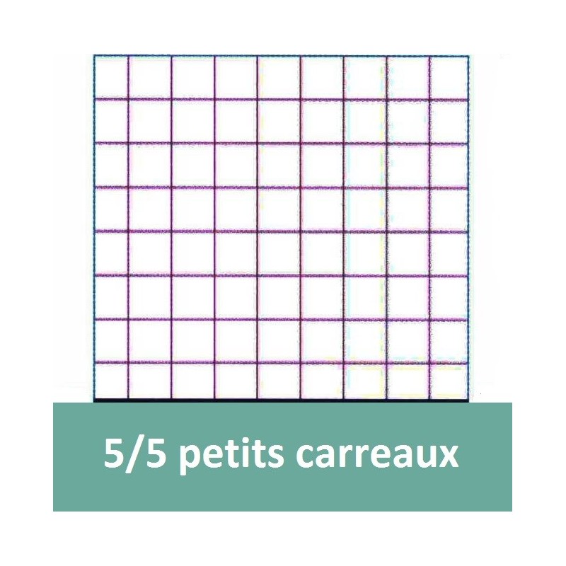 Copies Doubles Conquérant - A4 400 Pages, 70g, Petits Carreaux 5x5 - Non Perforées - Fabriqué En France